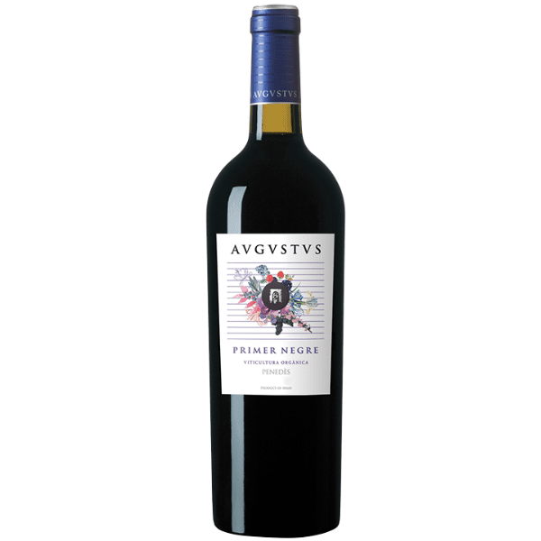 Avgvstvs Primer Negre Penedès