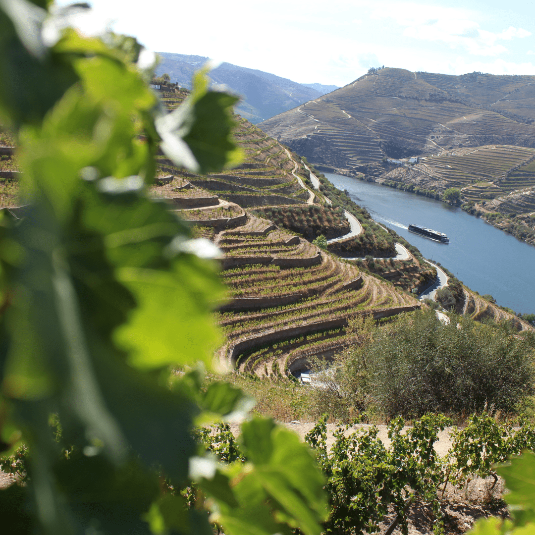 Douro
